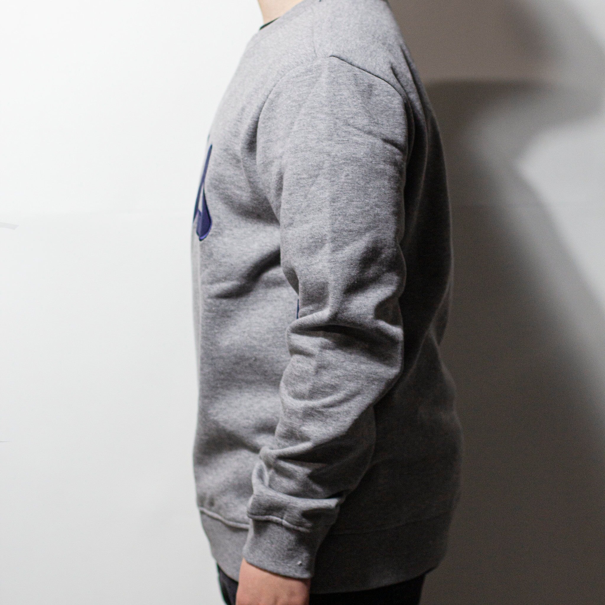 FILA SUDADERA GRIS