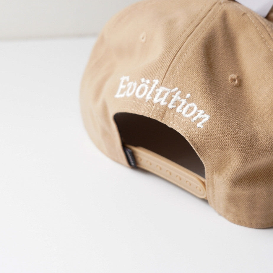 JORDAN CAP EVOLUTION BROWN