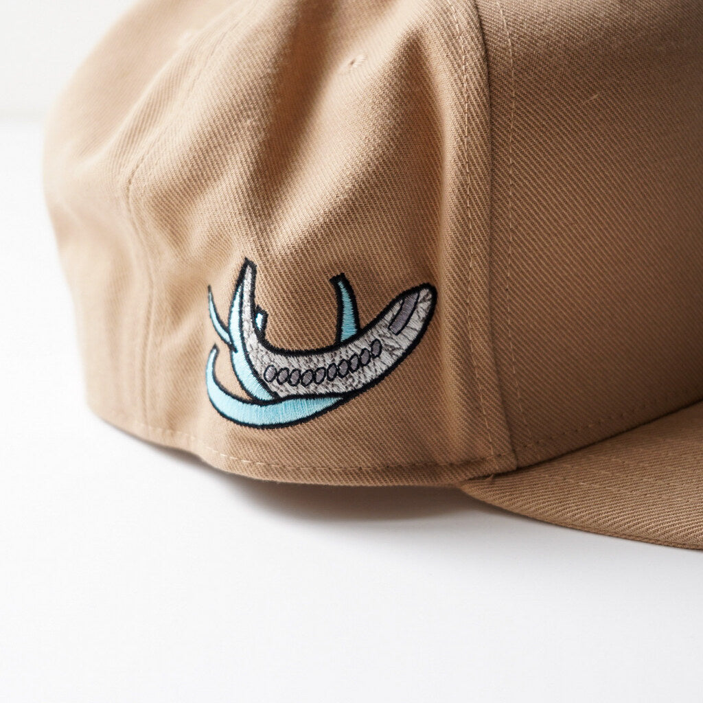 JORDAN CAP EVOLUTION BROWN