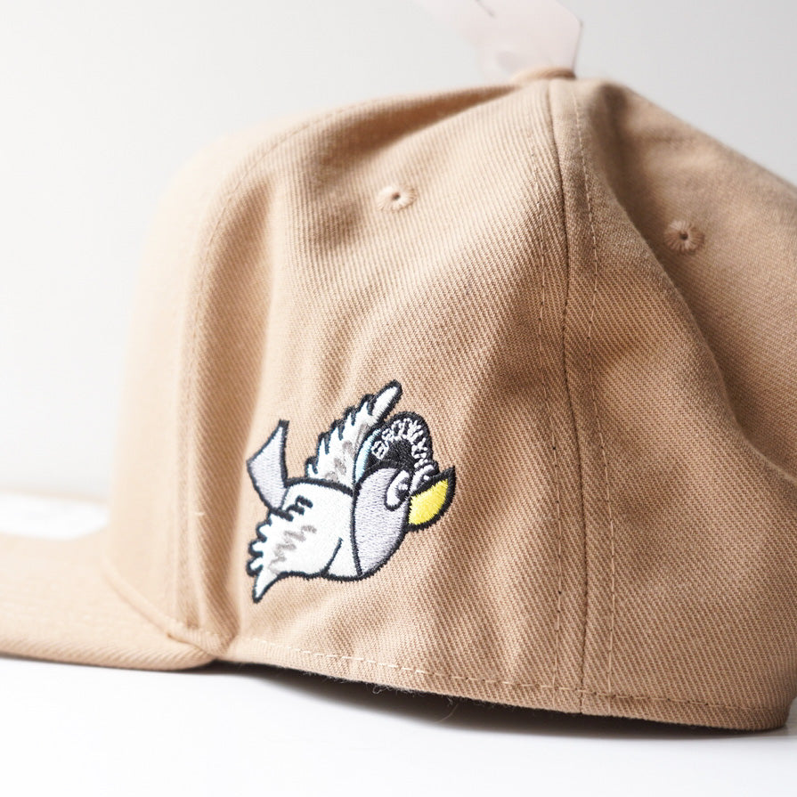JORDAN CAP EVOLUTION BROWN
