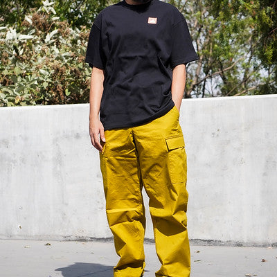 NIKE SB KEARNY CARGO PANTS