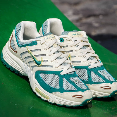 NIKE AIR PEGASUS 2K5 BICOASTAL