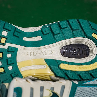 NIKE AIR PEGASUS 2K5 BICOASTAL