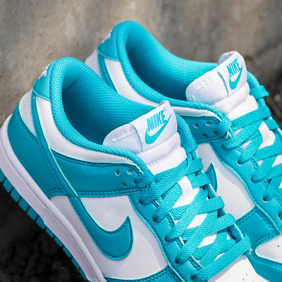 NIKE DUNK LOW DUSTY CACTUS