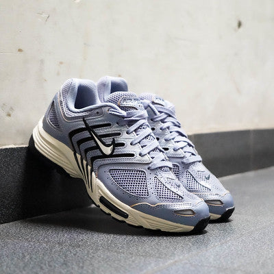 NIKE AIR PEGASUS 2K5 ASHEN SLATE