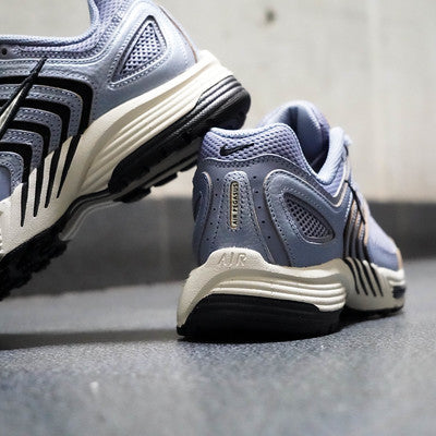 NIKE AIR PEGASUS 2K5 ASHEN SLATE