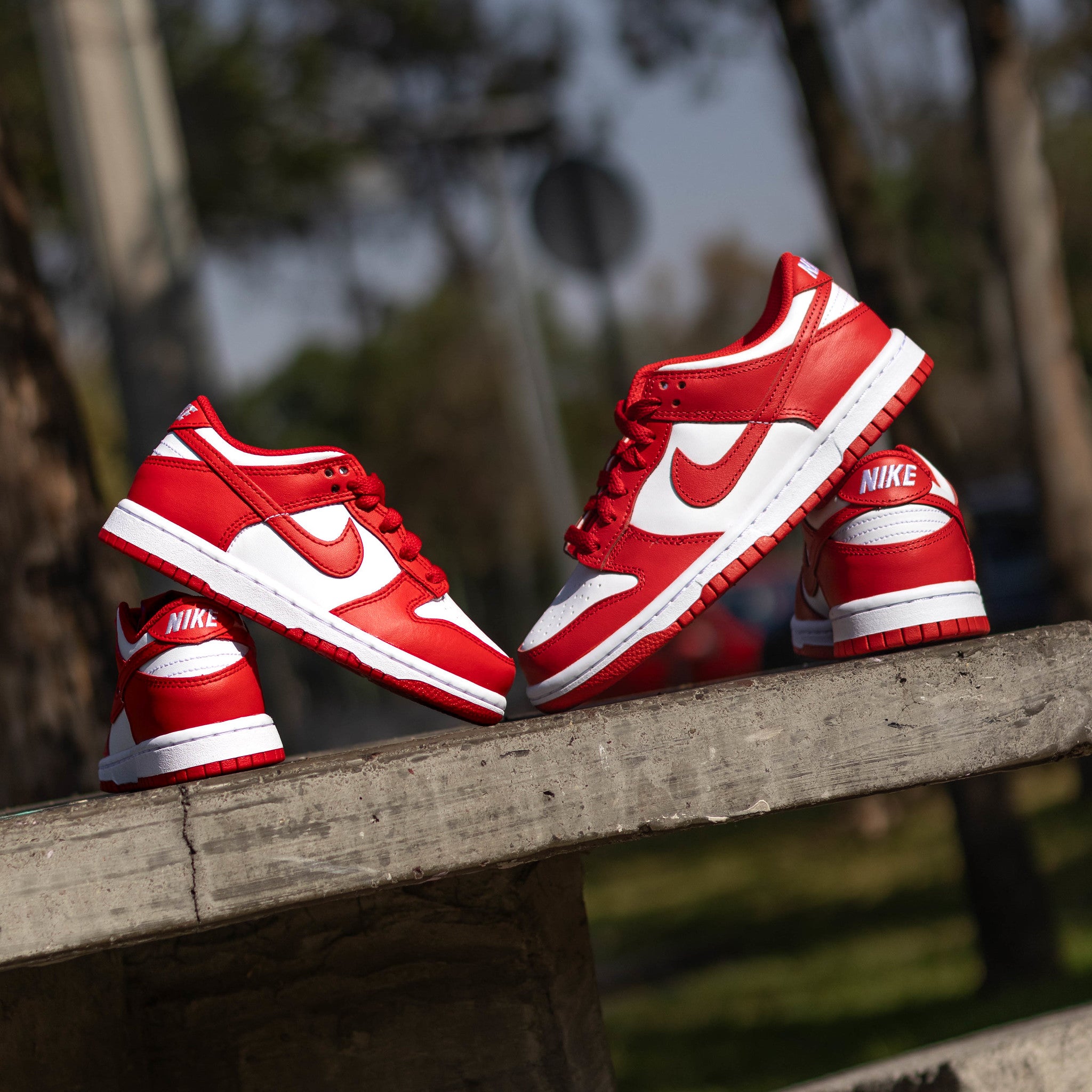 NIKE DUNK LOW UNIVERSITY RED PS
