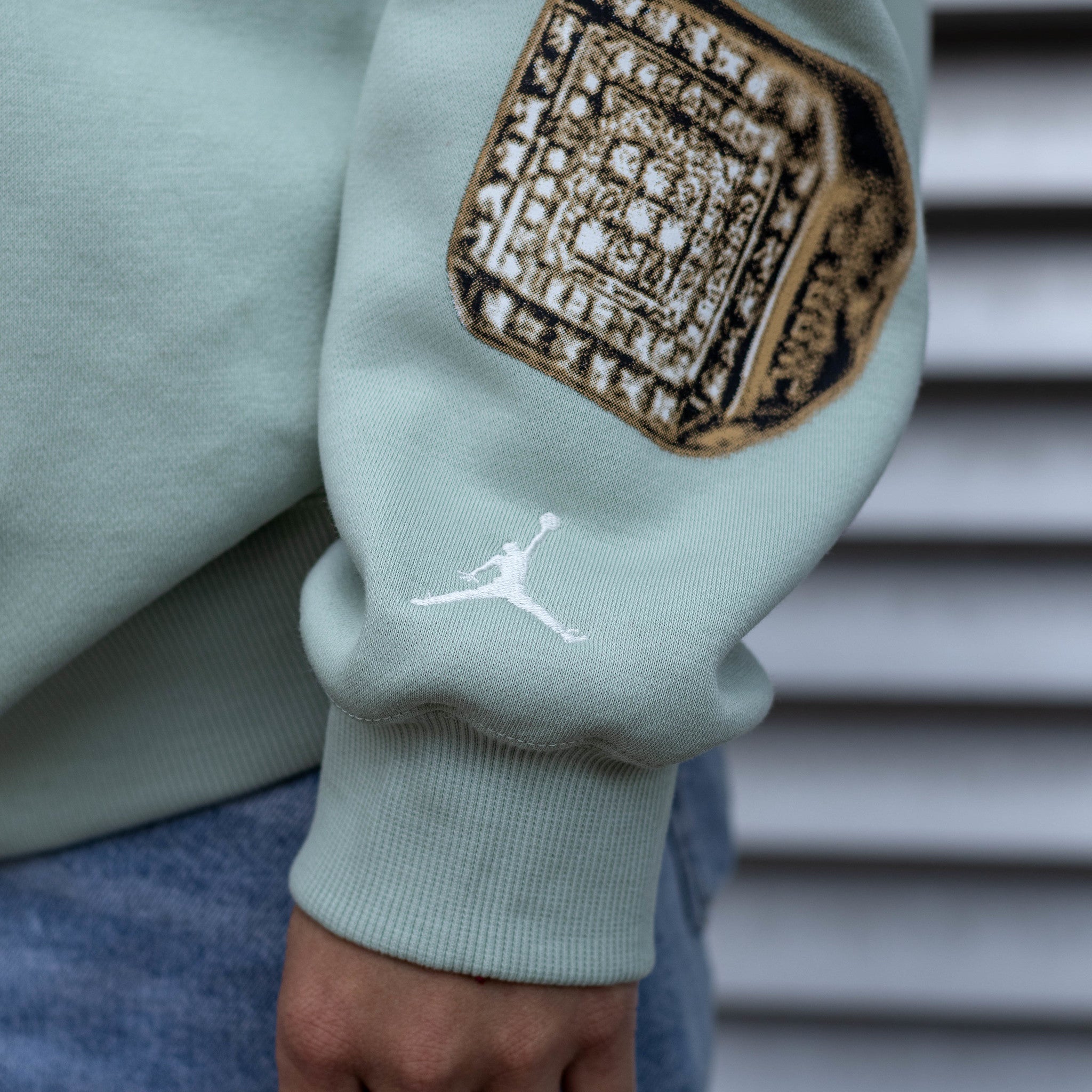JORDAN HOODIE SEAFOAM SIX RINGS HIL