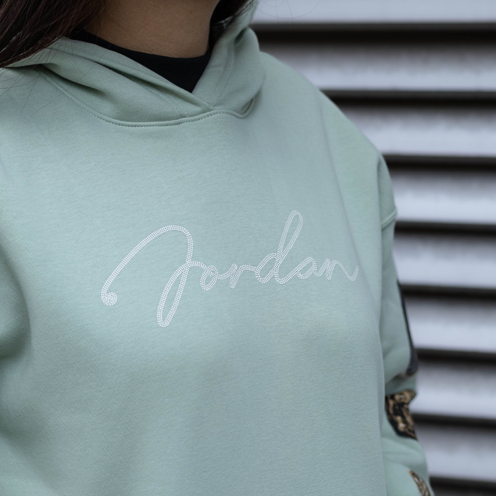 JORDAN HOODIE SEAFOAM SIX RINGS HIL