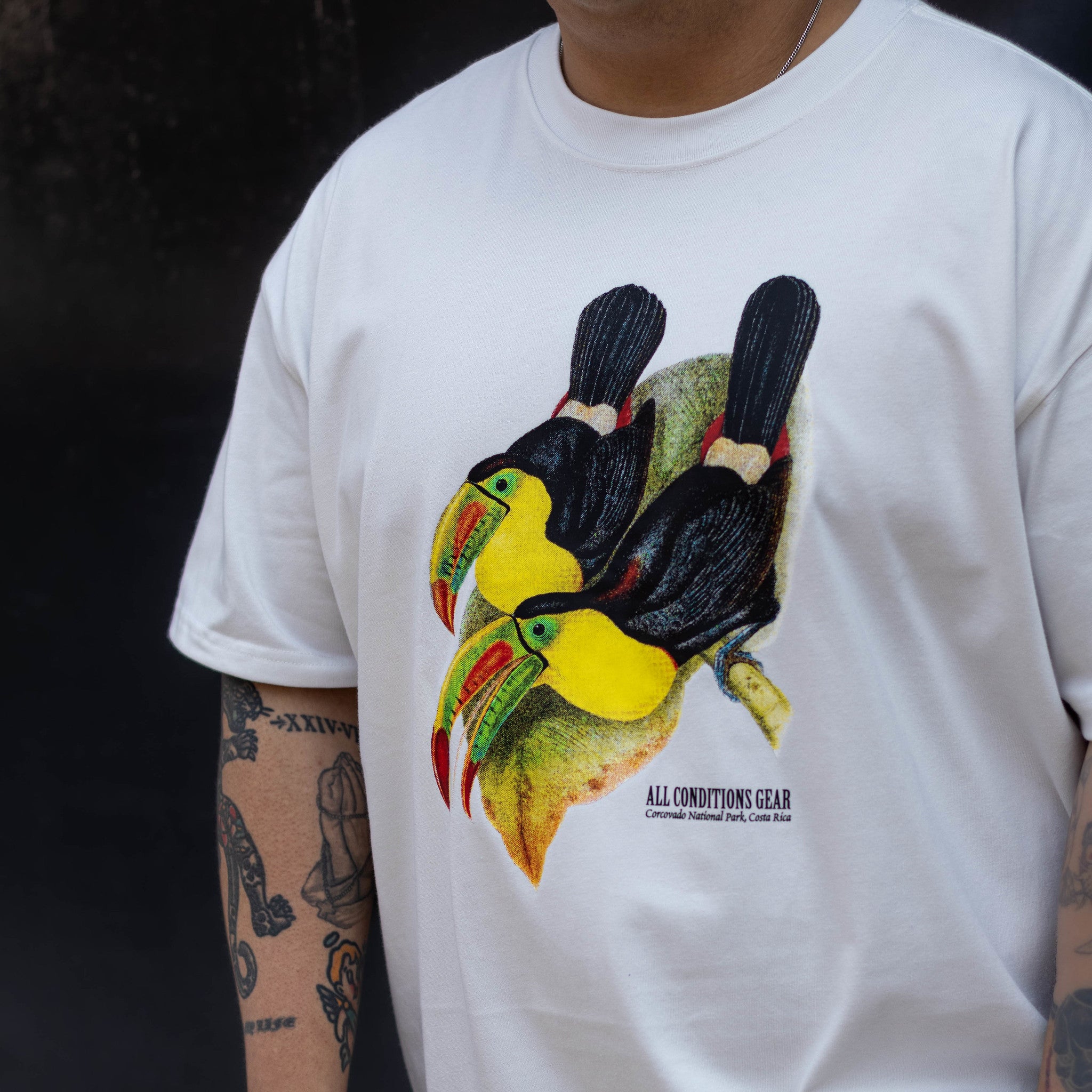 NIKE ACG TOUCAN WHITE