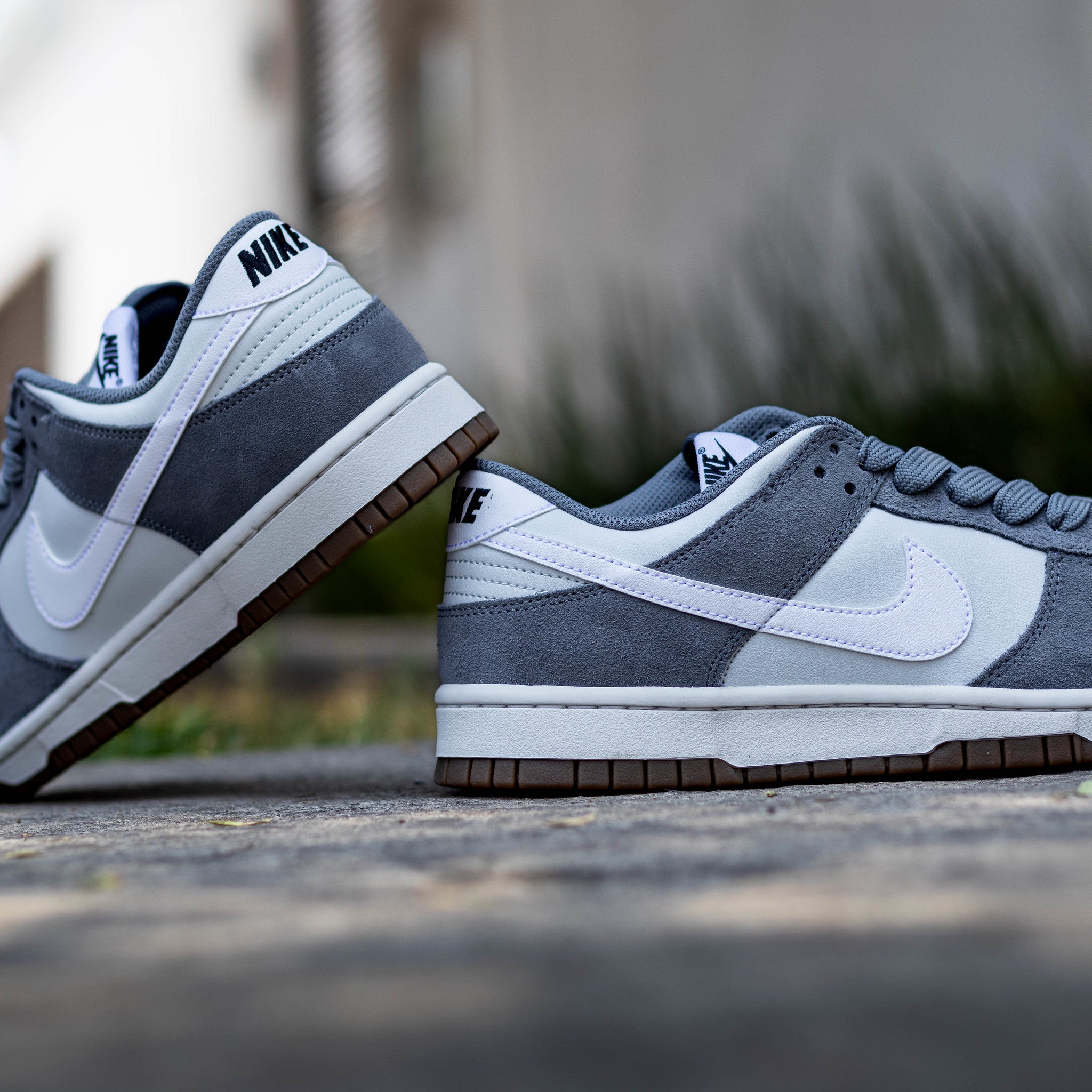 NIKE DUNK LOW COOL GREY PHOTON DUST
