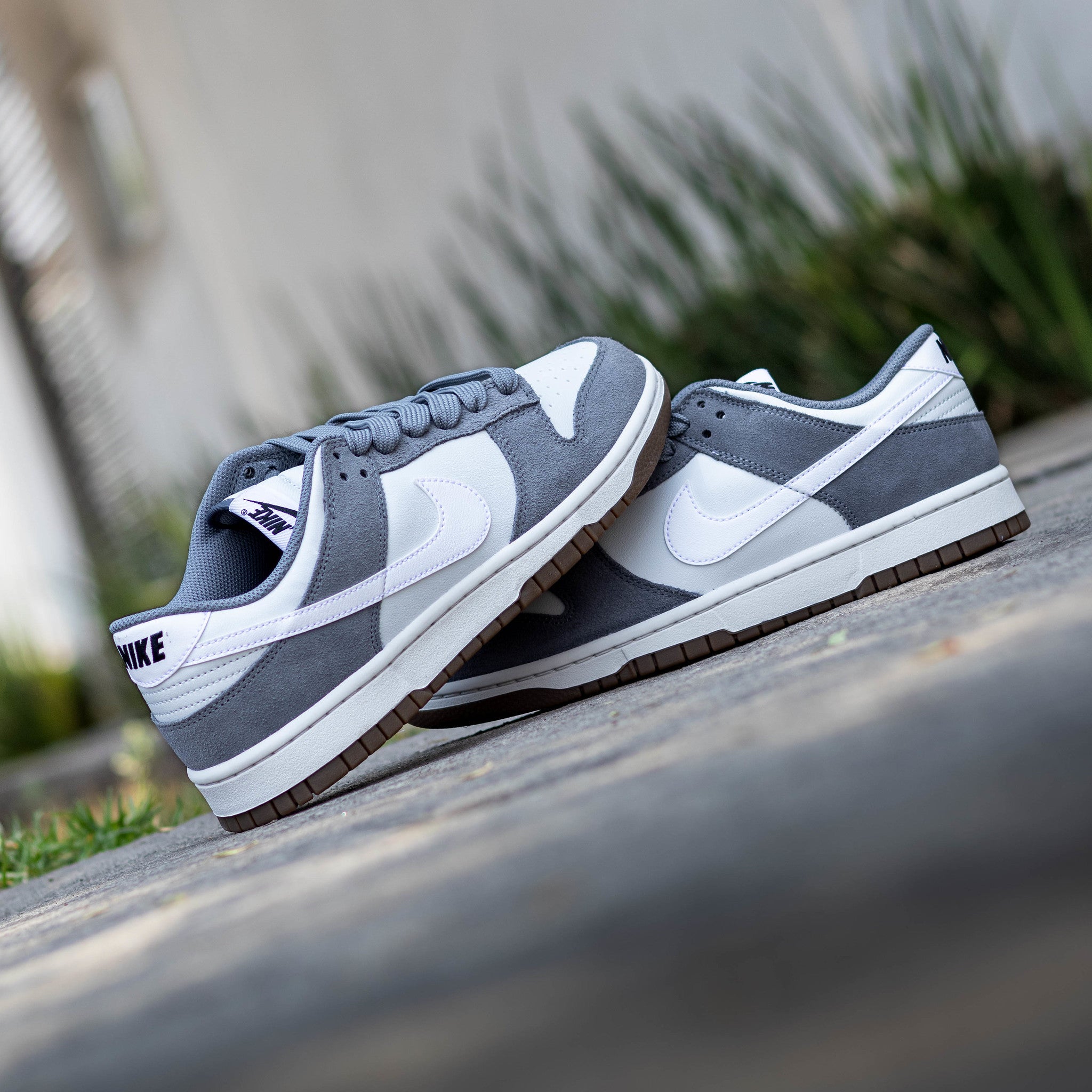 NIKE DUNK LOW COOL GREY PHOTON DUST