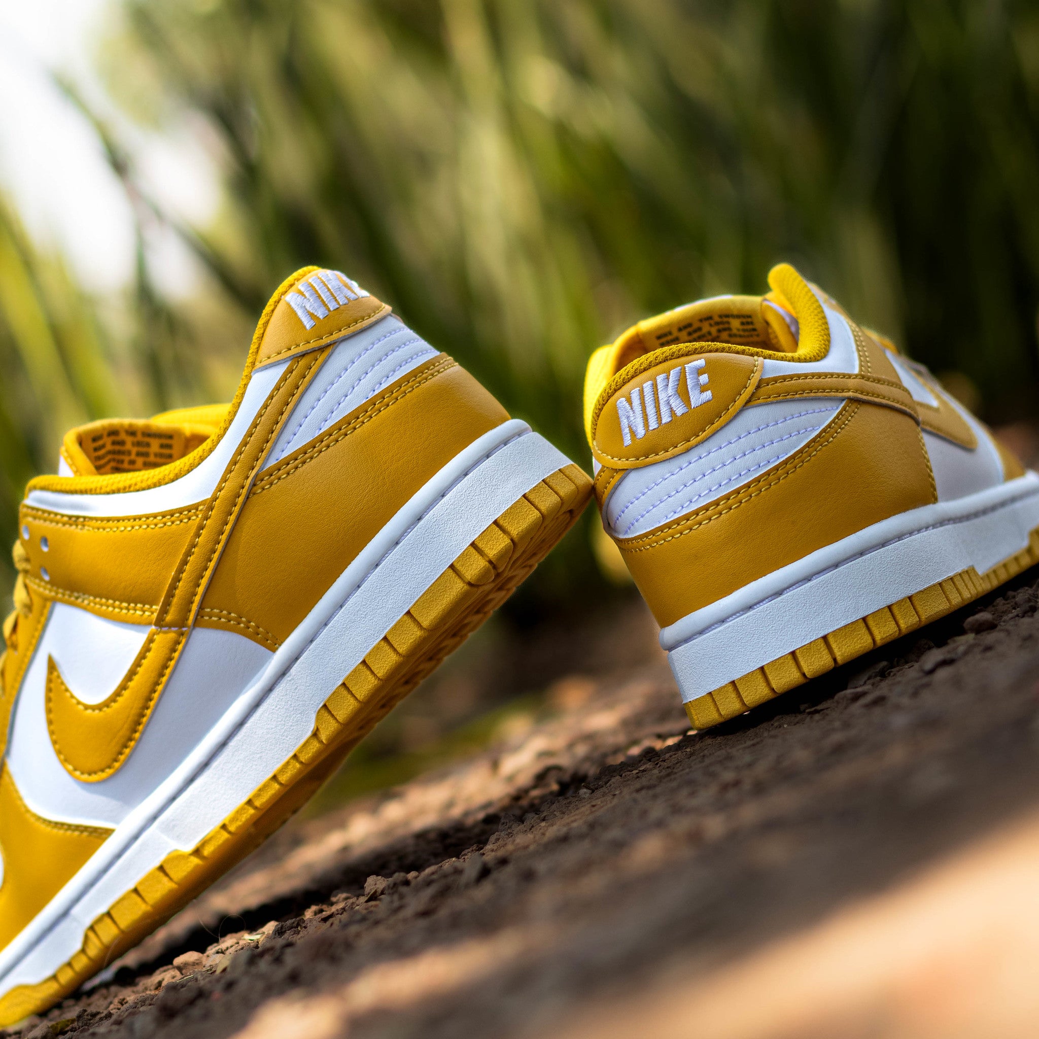 NIKE DUNK LOW MUSTARD YELLOW