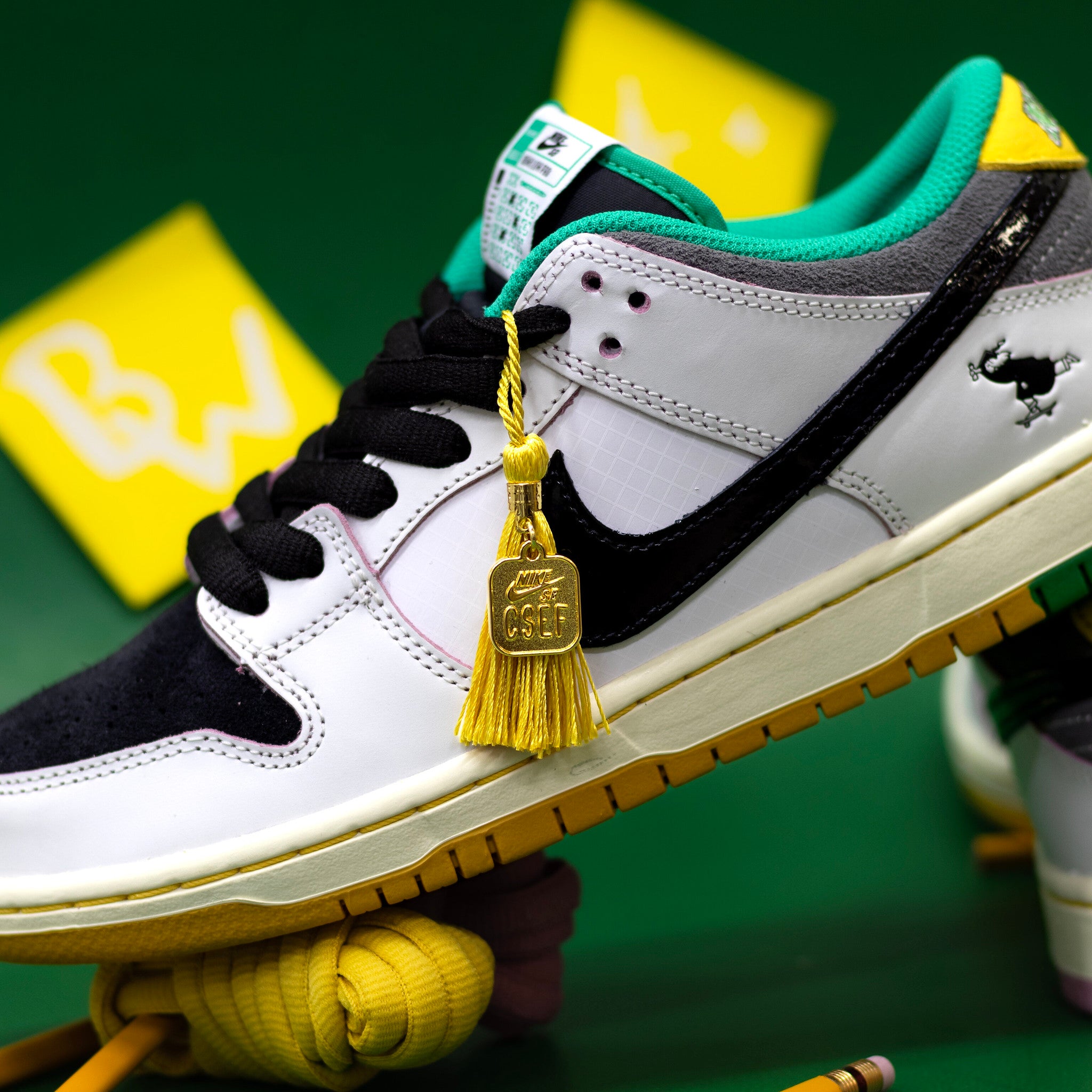NIKE DUNK LOW SB X CSEF