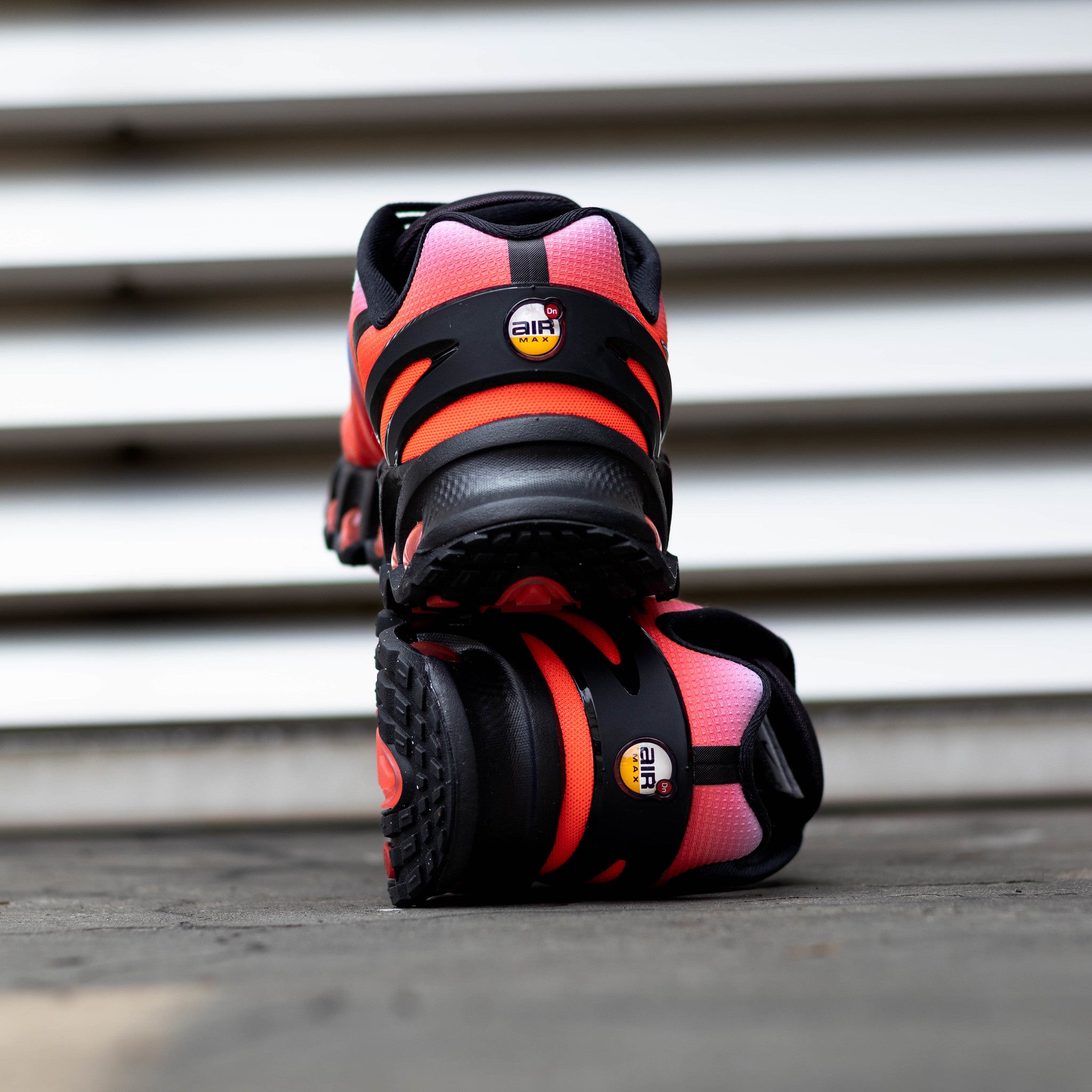 NIKE AIR MAX DN8 ROYAL TINT BRIGHT CRIMSON GS