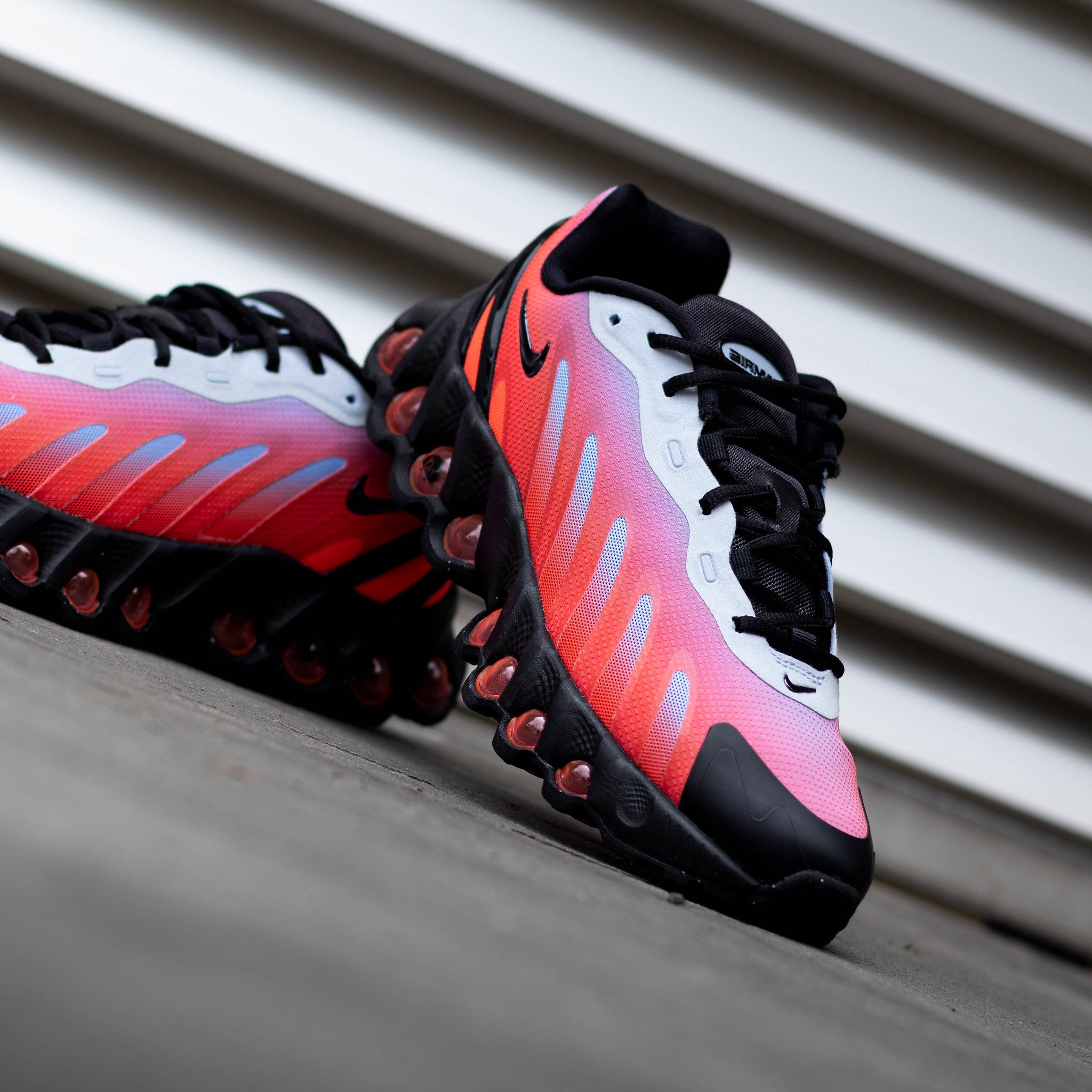 NIKE AIR MAX DN8 ROYAL TINT BRIGHT CRIMSON GS