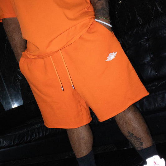 JORDAN RARE AIR SHORT ORANGE LOG