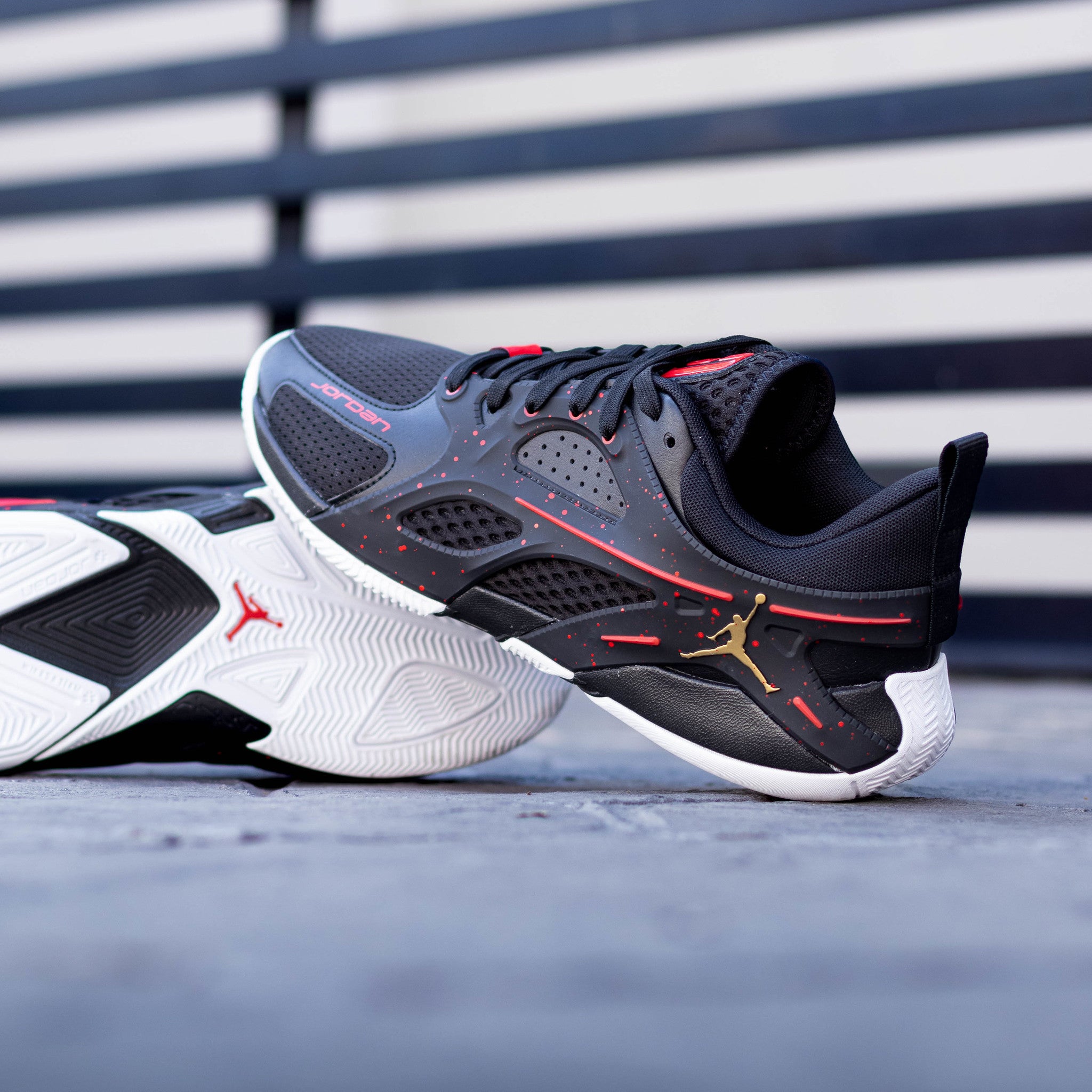 JORDAN HEIR SERIES BLOODLINE