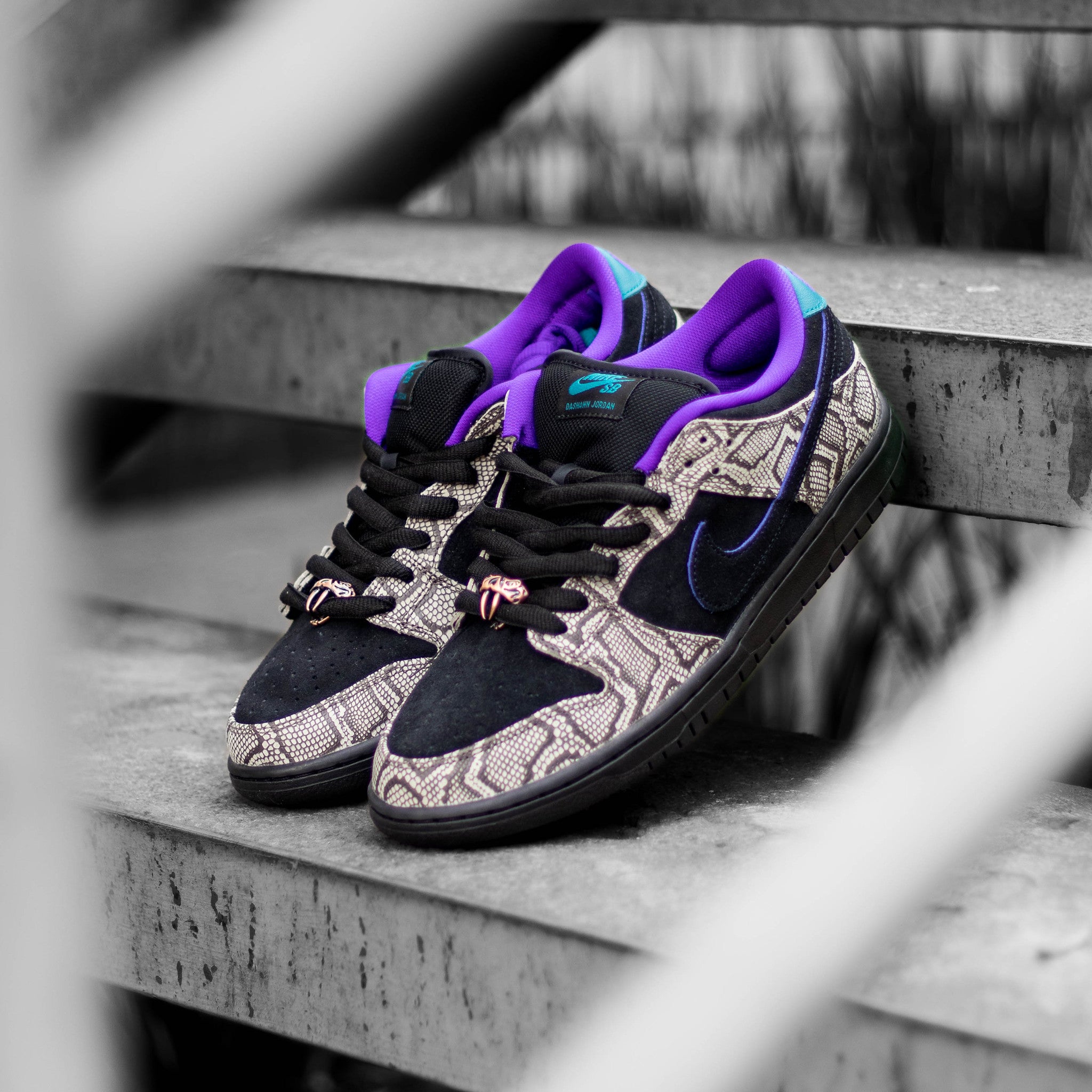 NIKE SB DUNK LOW X DASHAWN JORDAN