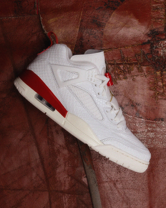 JORDAN SPIZIKE EL VUELO