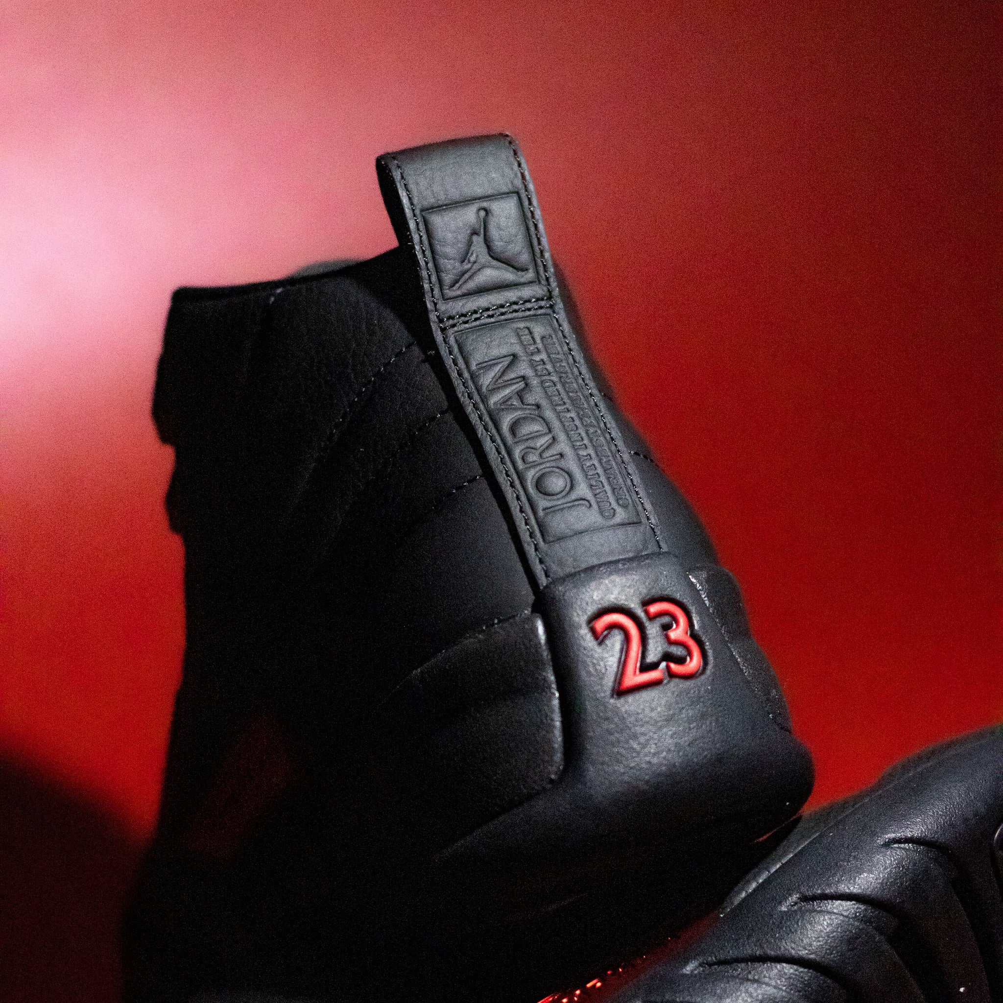 AIR JORDAN 12 BLOODLINE