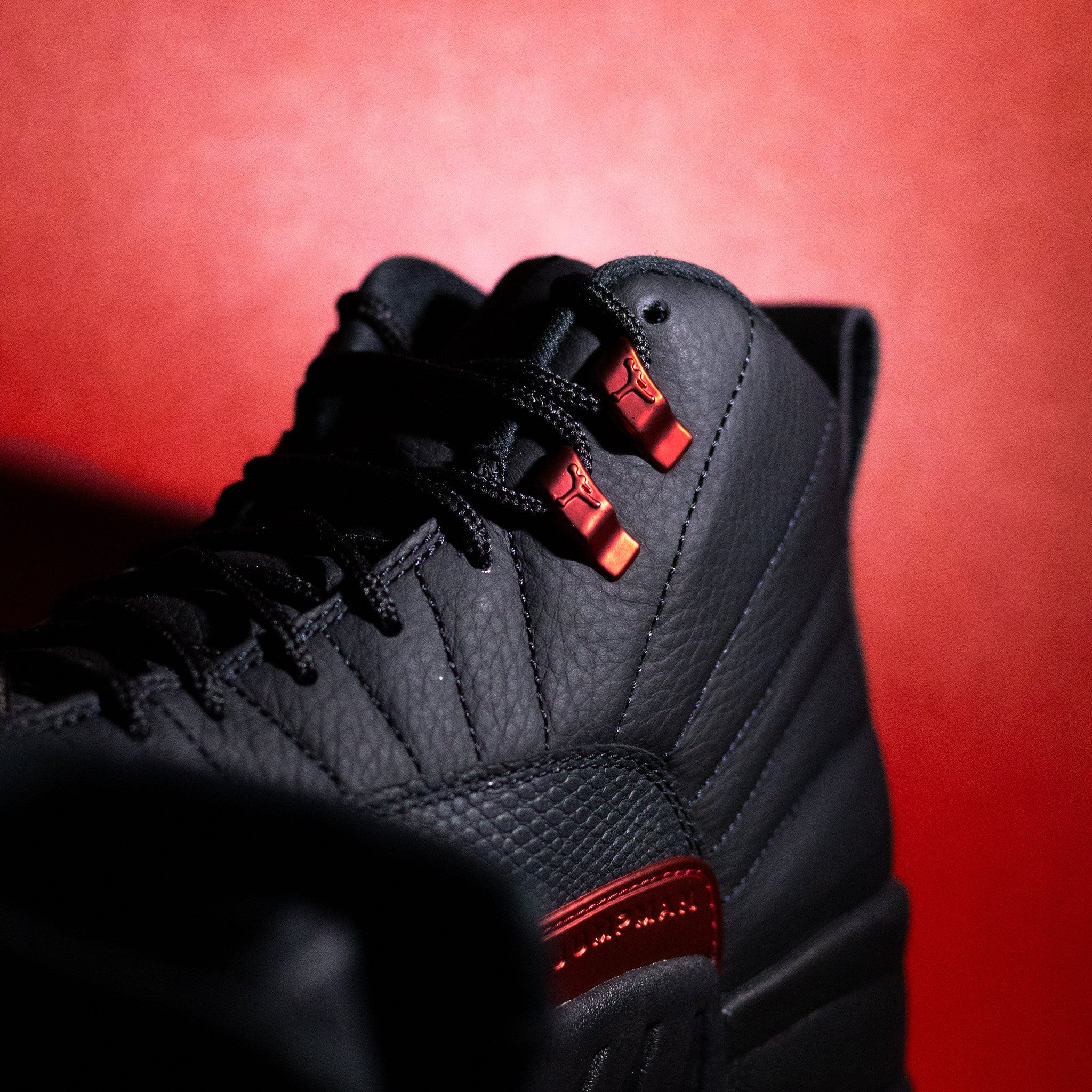 AIR JORDAN 12 BLOODLINE