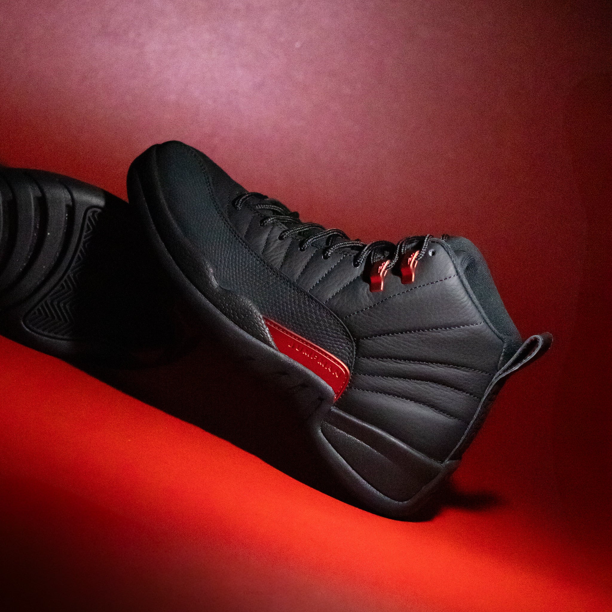 AIR JORDAN 12 BLOODLINE