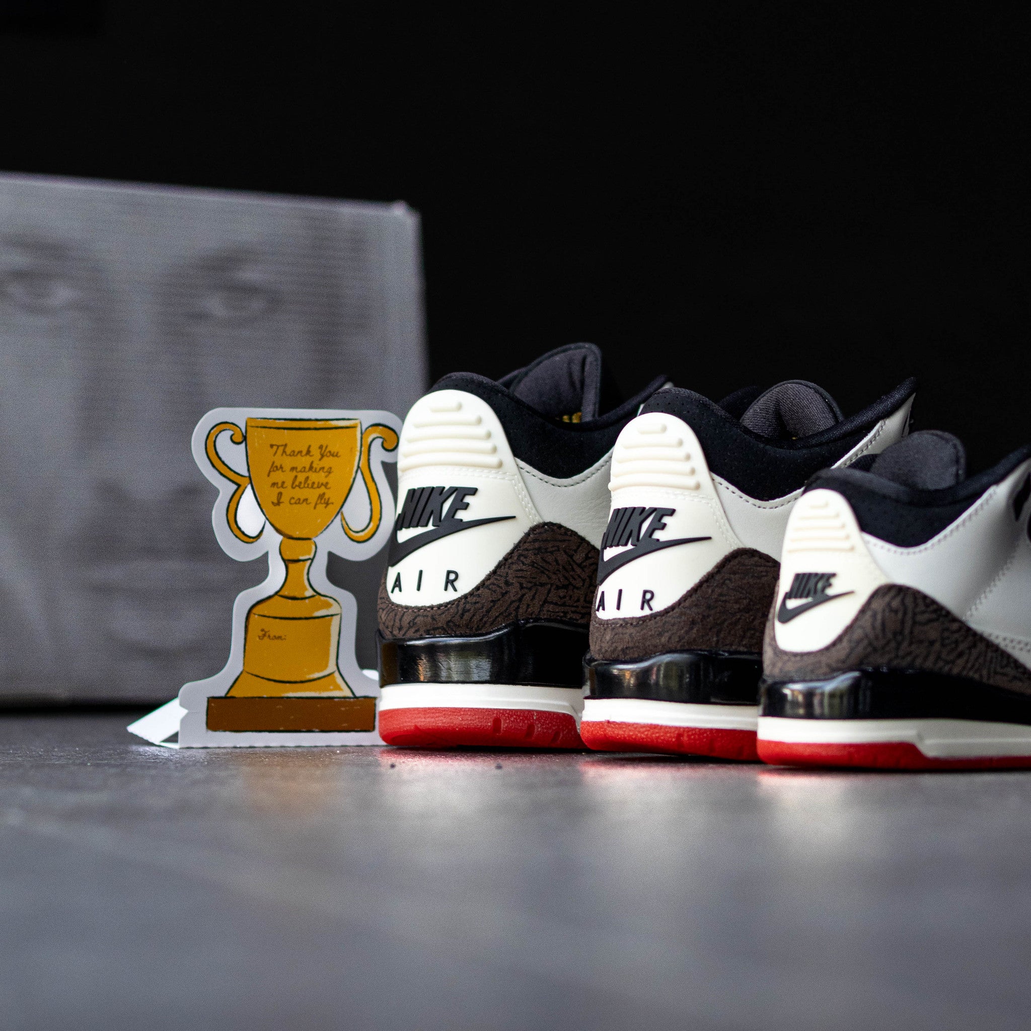 AIR JORDAN 3 WORLDS BEST