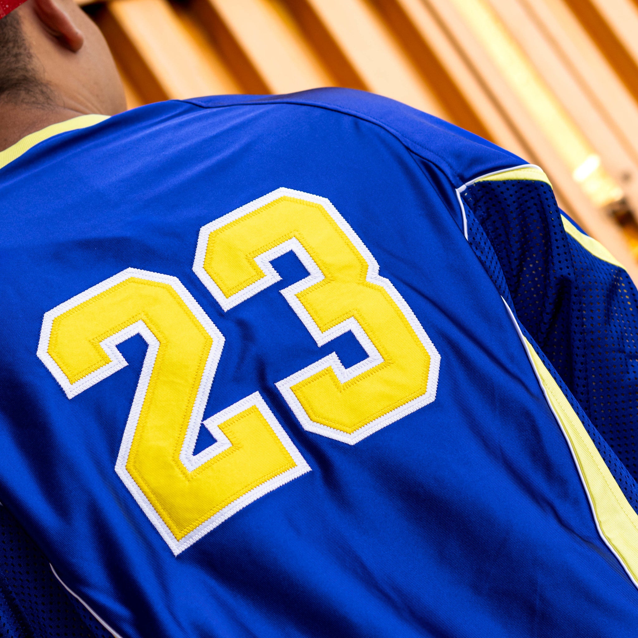 JORDAN JERSEY BRASIL GOALIE