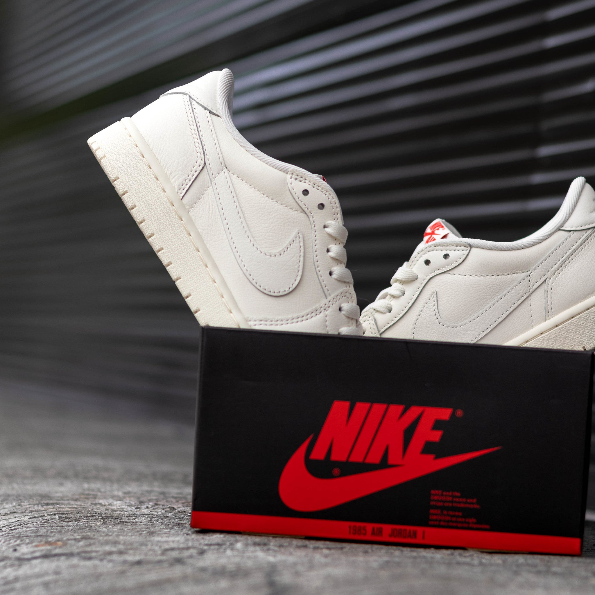 AIR JORDAN 1 LOW SAIL