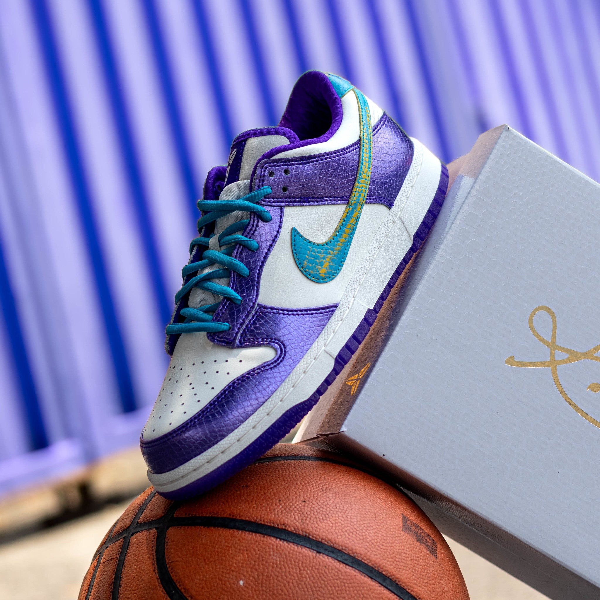 NIKE DUNK LOW PROTRO DRAFT PACK CHARLOTTE TO LA