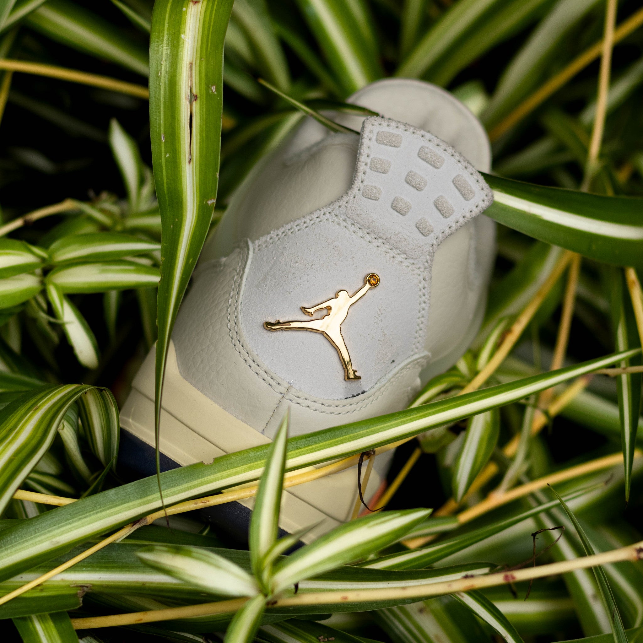 AIR JORDAN 4 BIRDS OF PARADISE W