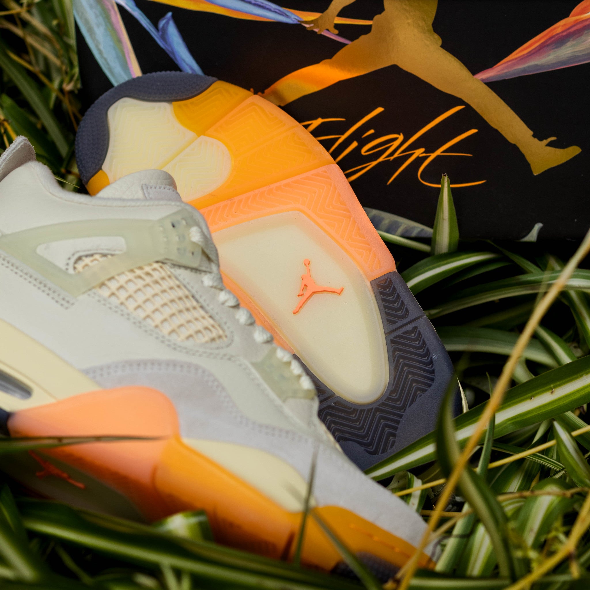 AIR JORDAN 4 BIRDS OF PARADISE W
