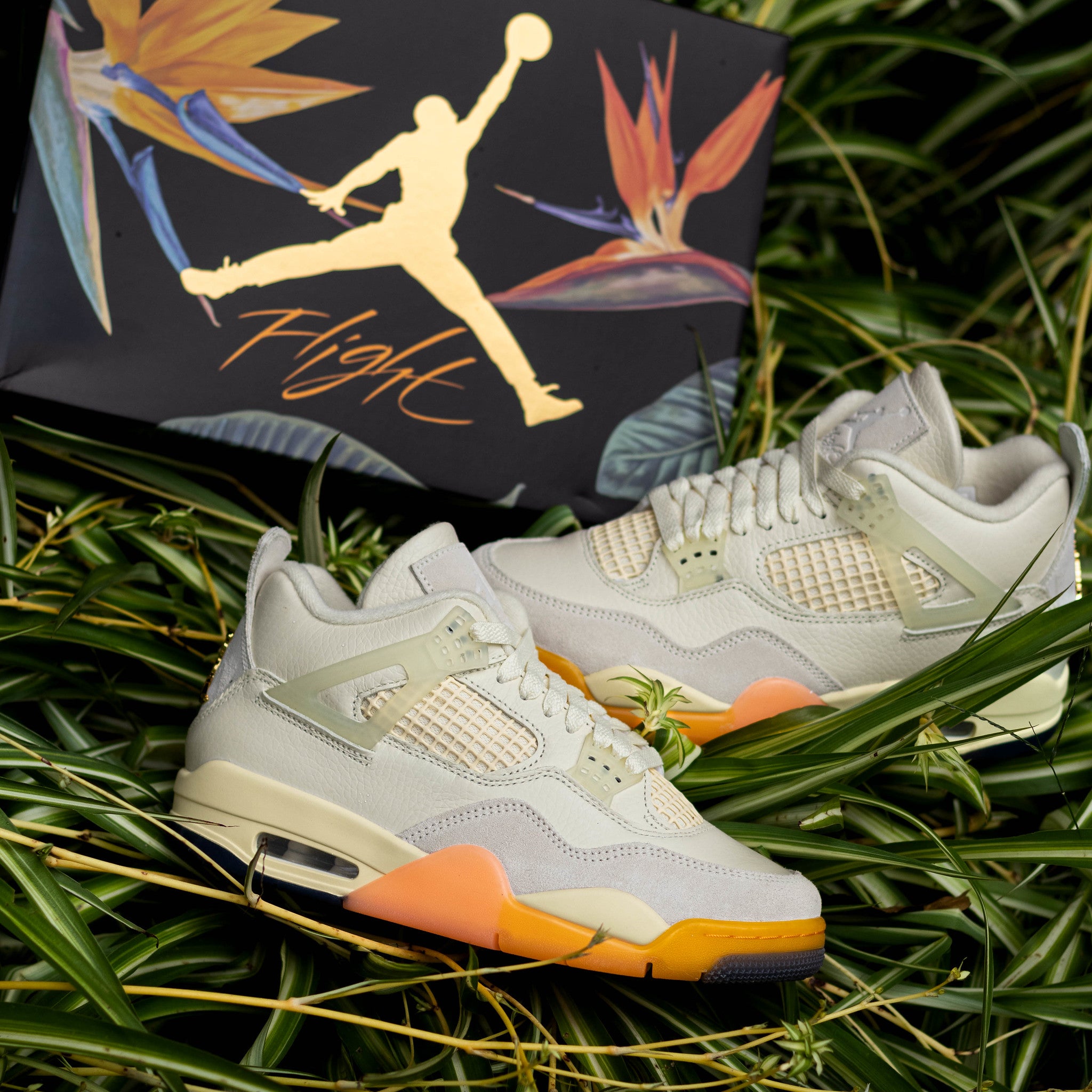 AIR JORDAN 4 BIRDS OF PARADISE W