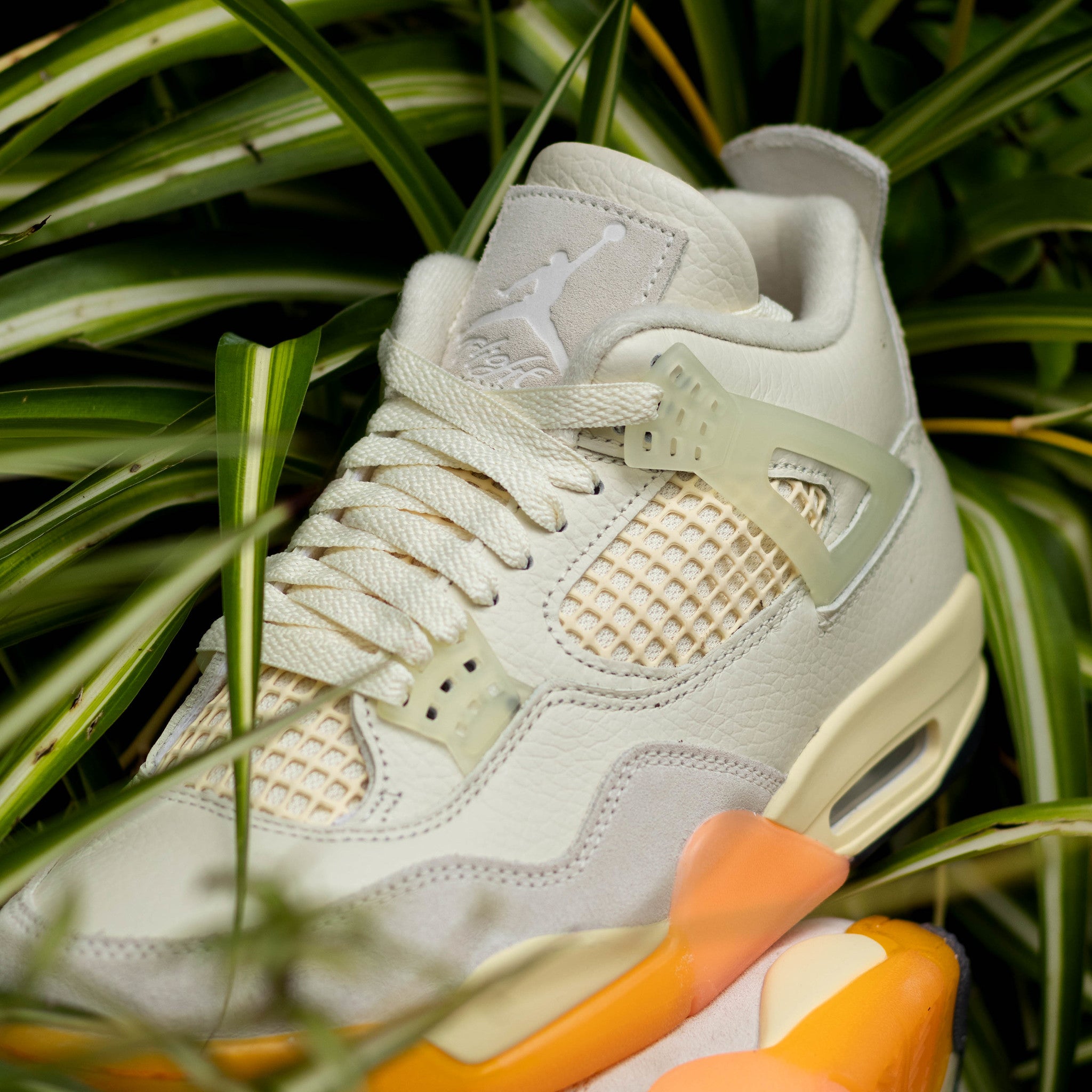 AIR JORDAN 4 BIRDS OF PARADISE W