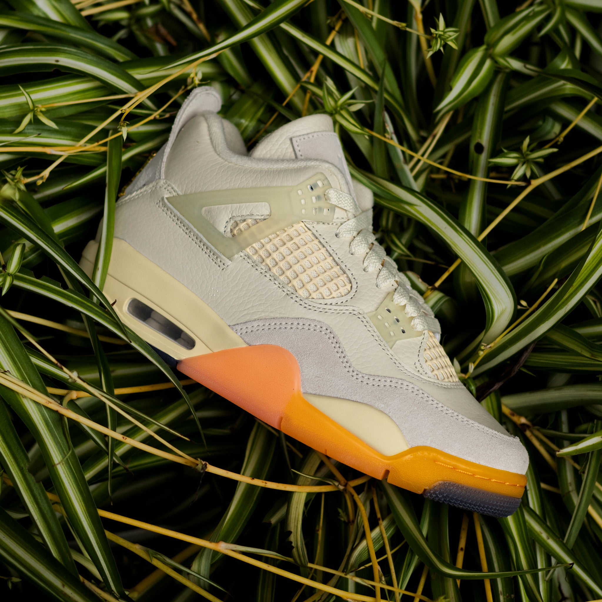 AIR JORDAN 4 BIRDS OF PARADISE W