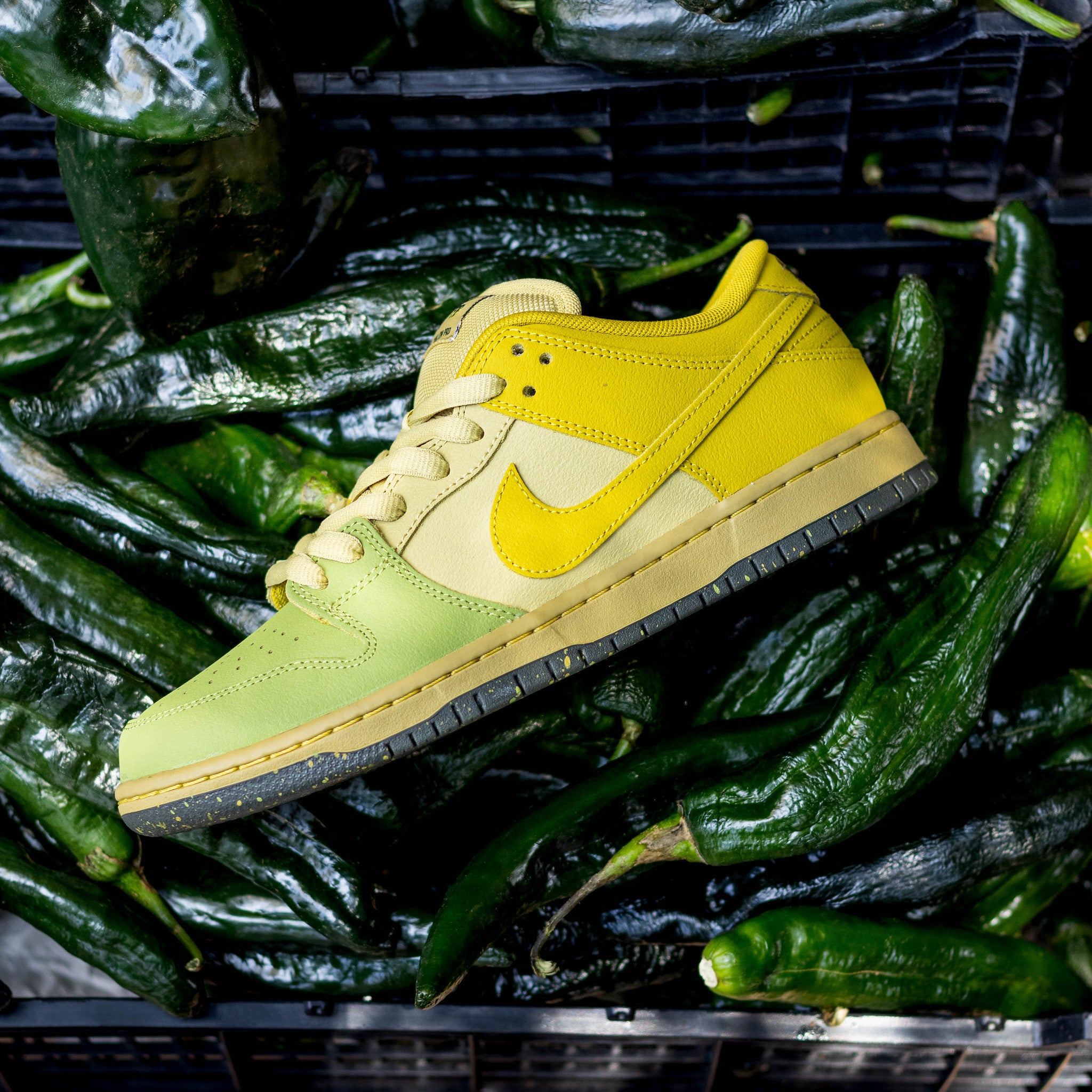 NIKE SB DUNK LOW SAFFRON QUARTZ AND PEAR