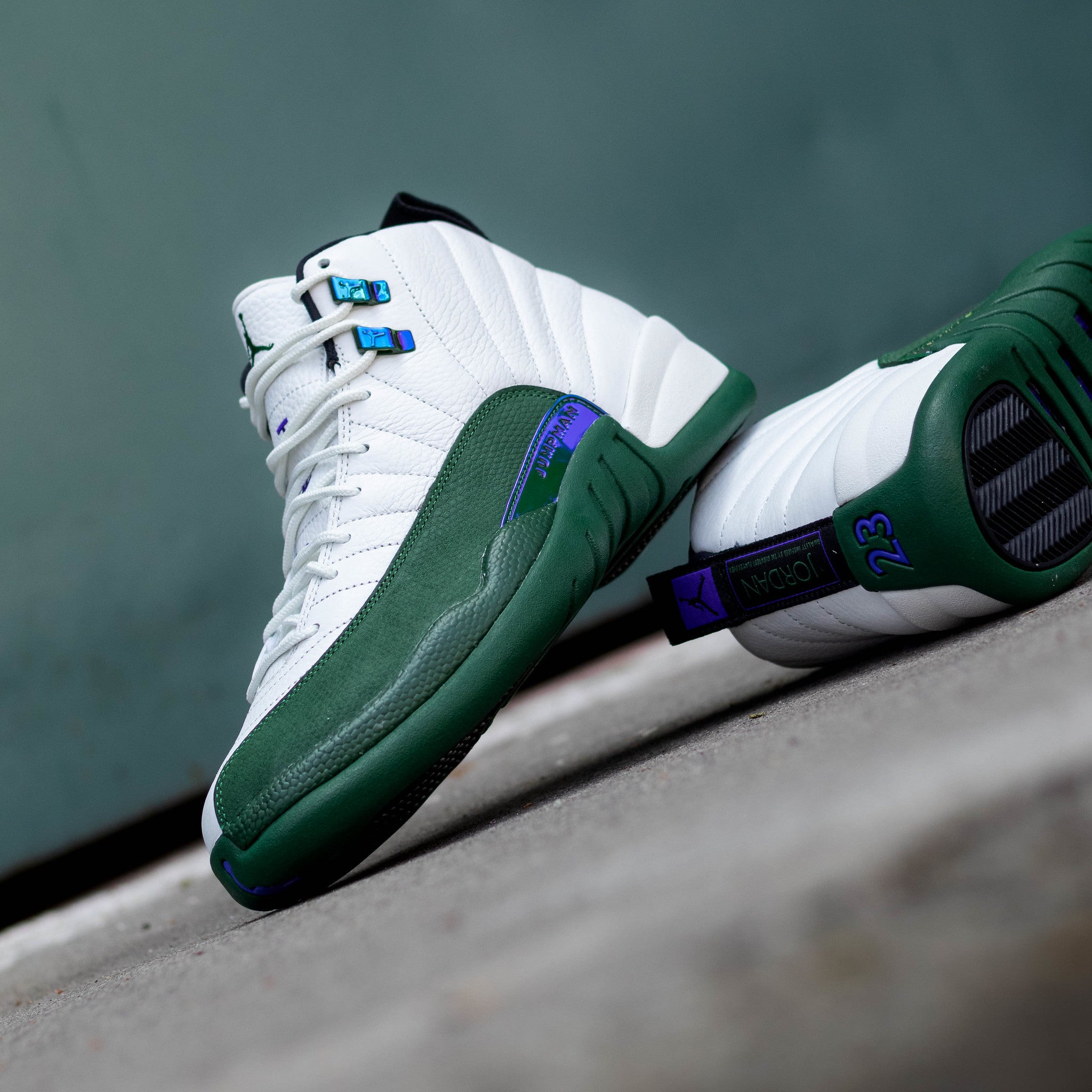 AIR JORDAN 12 BUCKS