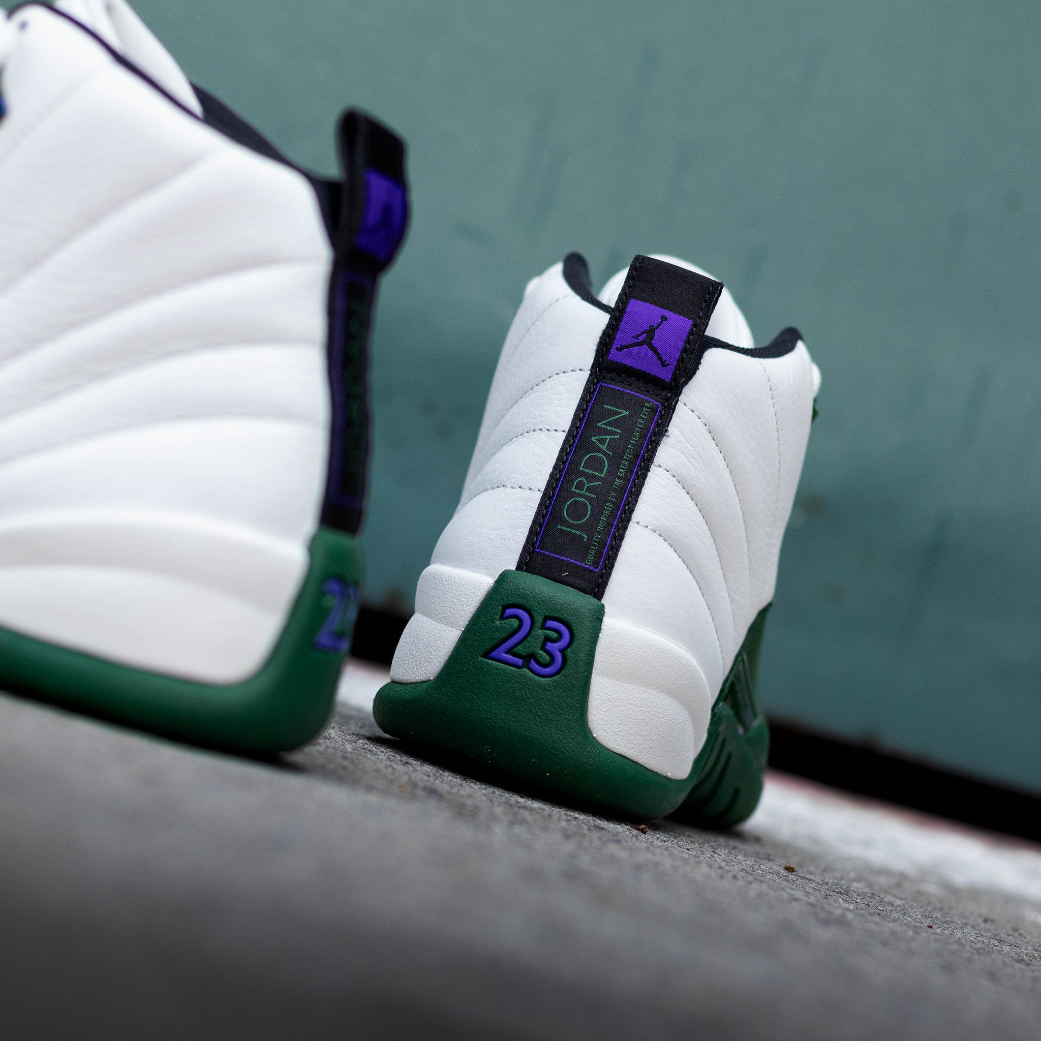 AIR JORDAN 12 BUCKS
