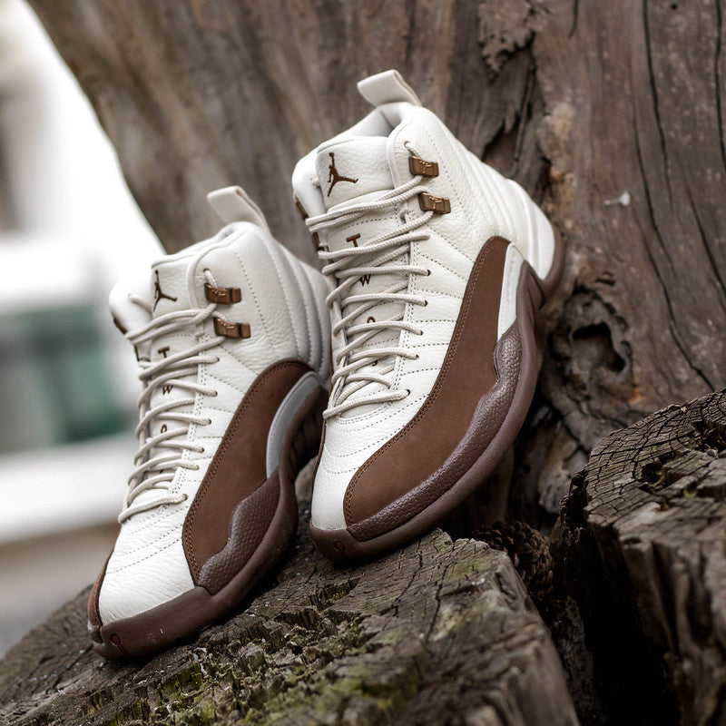 AIR JORDAN 12 FIRESIDE