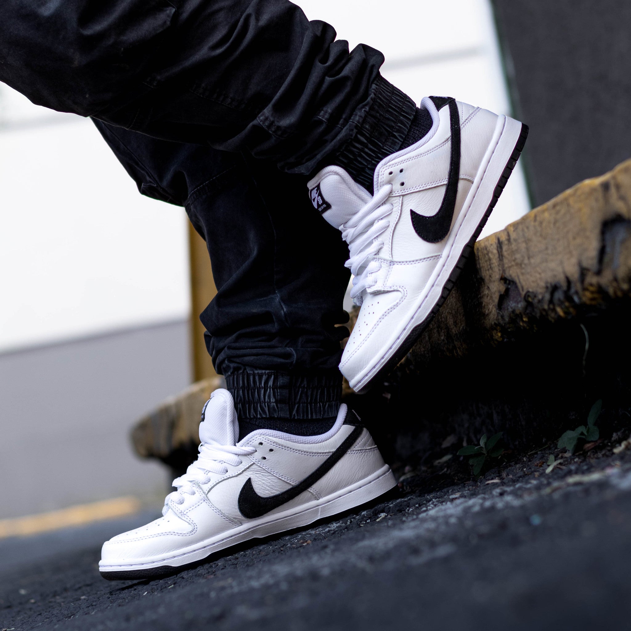 NIKE SB DUNK LOW WHITE BLACK