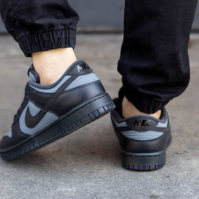 NIKE DUNK LOW OFF NOIR SMOKE GREY-FZ3052-001-B