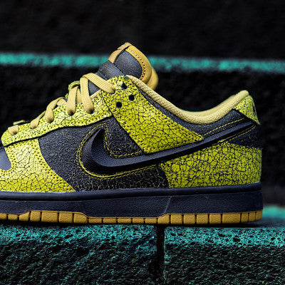 NIKE DUNK LOW SKULL BRIGHT CACTUS-HV6103-300-D
